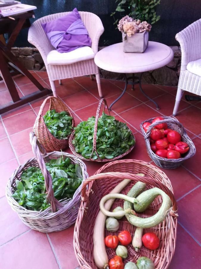 Villa Annetta Poggi Ngoại thất bức ảnh